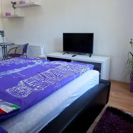 Berg Szallas Sátoraljaújhely