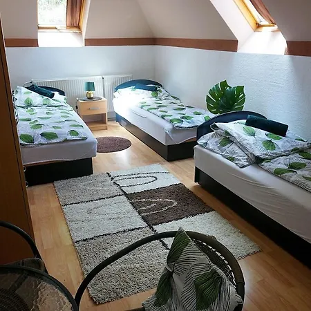 Berg Szallas Sátoraljaújhely